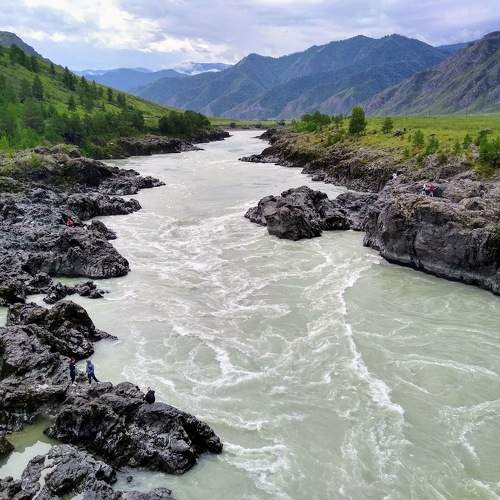 Photo #10106889
