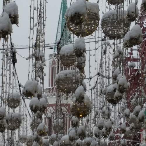 Photo #10107064