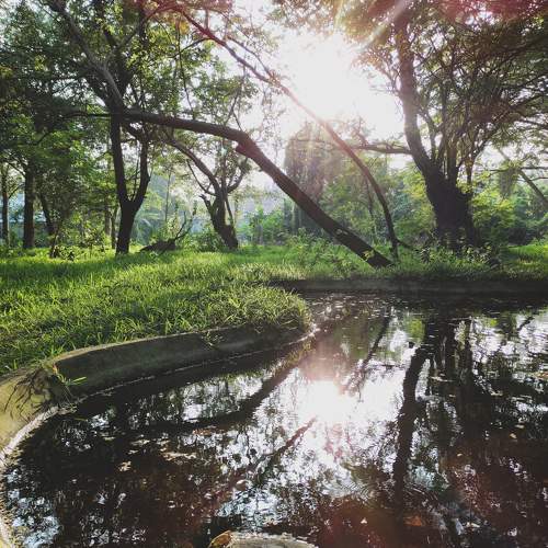 Photo #10107068