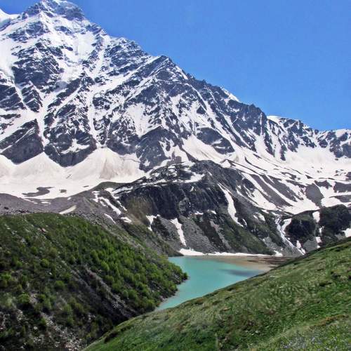 Photo #10107135