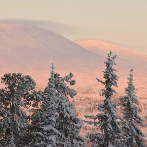 Photo #10107397