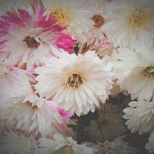 Photo #10107431
