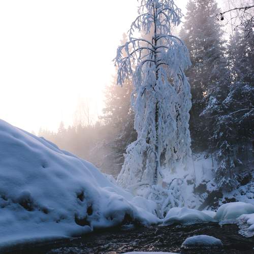 Photo #10107480