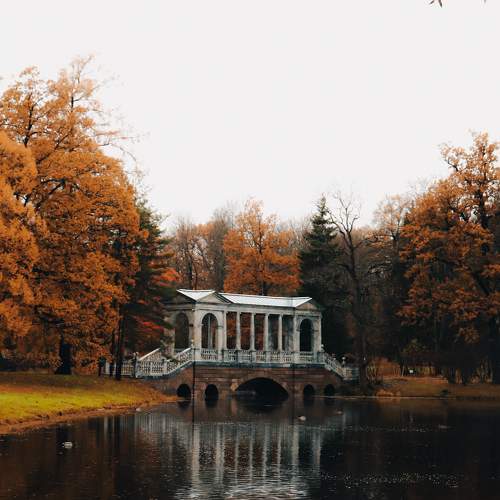 Photo #10107492