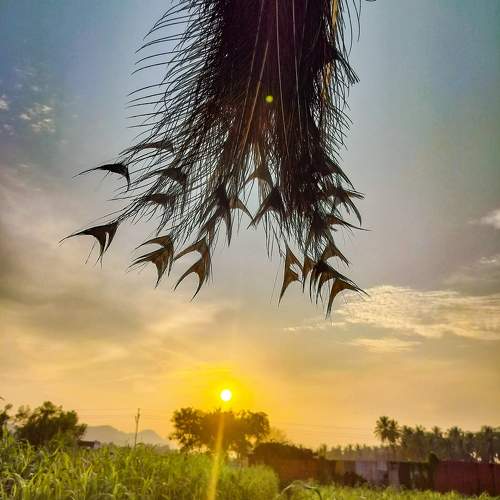 Photo #10107578