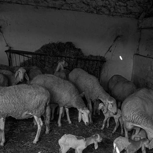 Photo #10107647
