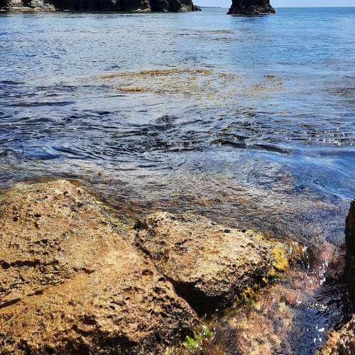Photo #10107668
