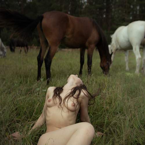 Photo #10108012