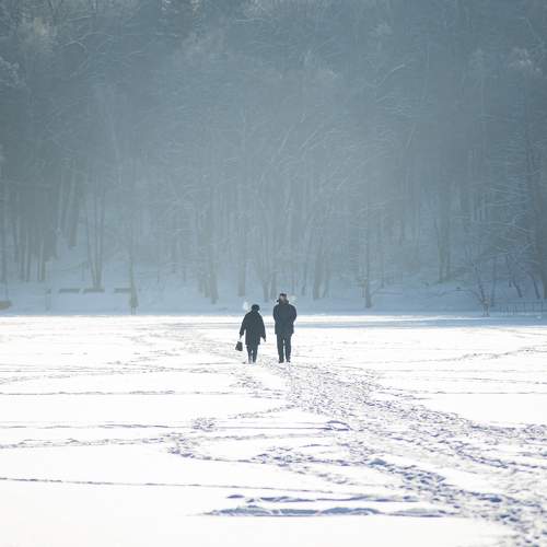 Photo #10108169