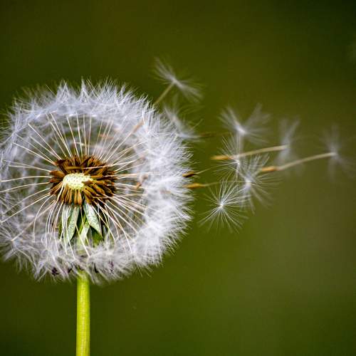 Photo #10108487
