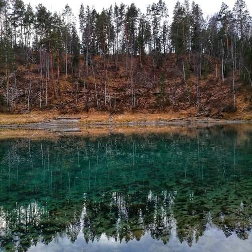 Photo #10108500