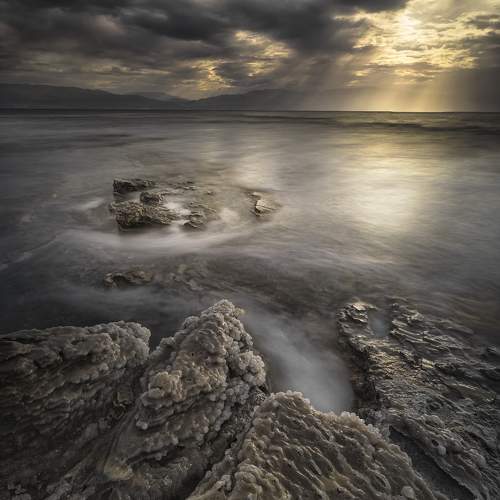 Photo #10108653