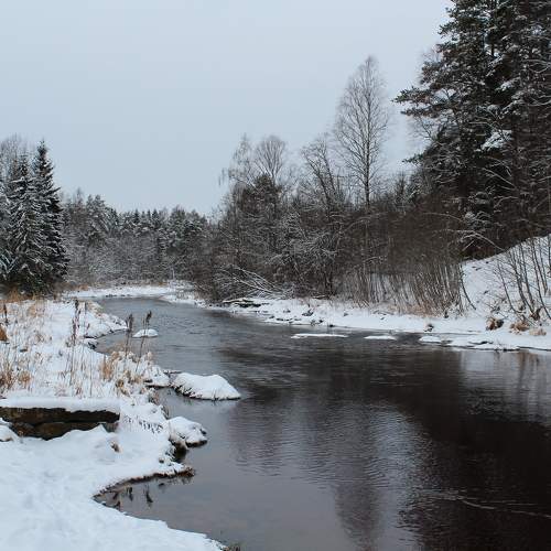 Photo #10108917