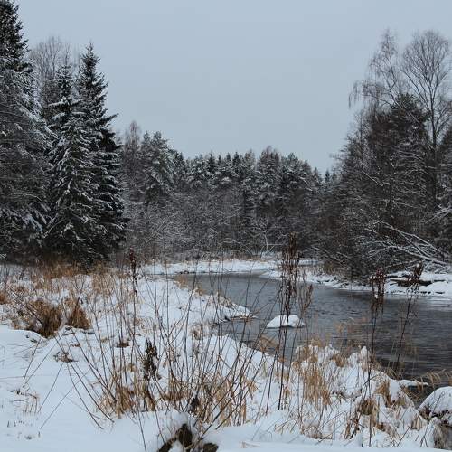 Photo #10108918