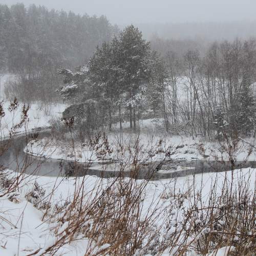 Photo #10108919