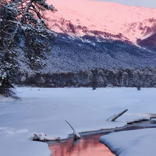 Photo #10109187
