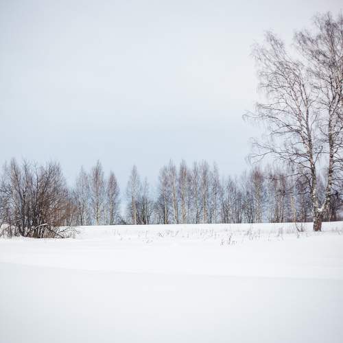 Photo #10109194