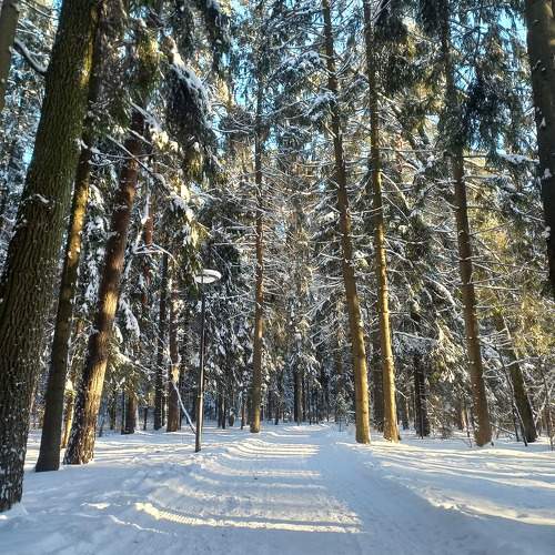Photo #10109635