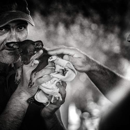 Photo #10110054