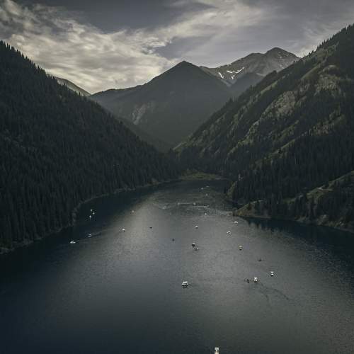 Photo #10110278