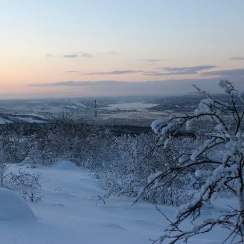 Photo #10110281