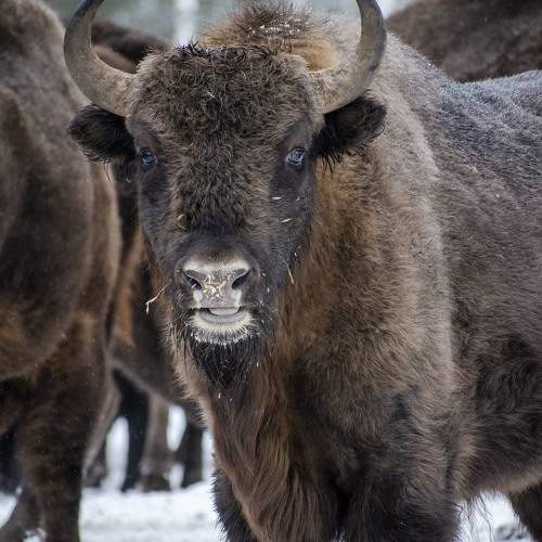Photo #10110472