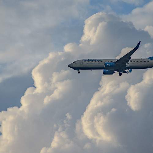 Photo #10110593