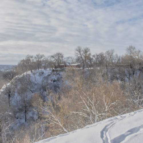 Photo #10110655