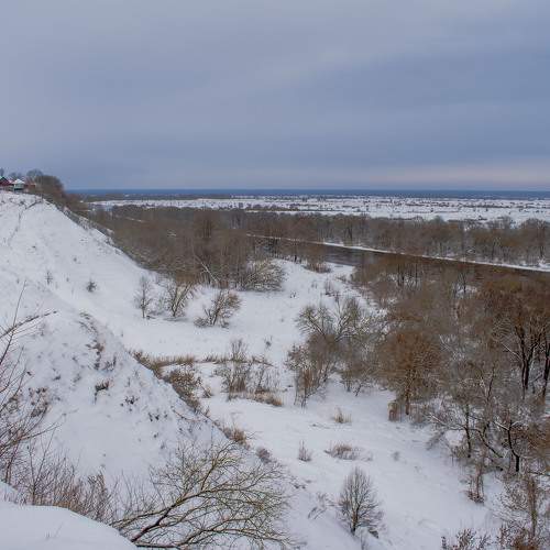 Photo #10110664