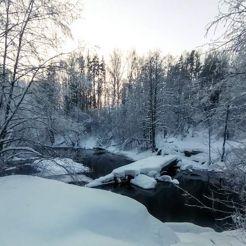 Photo #10110702