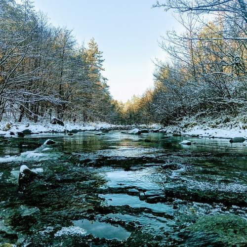 Photo #10110726