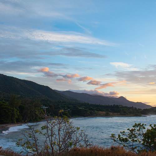 Photo #10110792