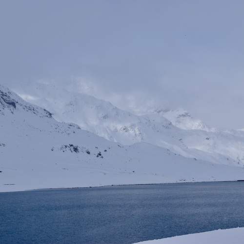 Фотография #10110841