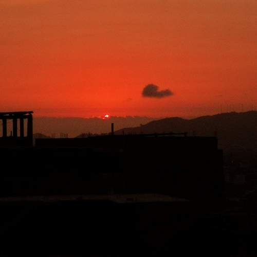 Photo #10111289