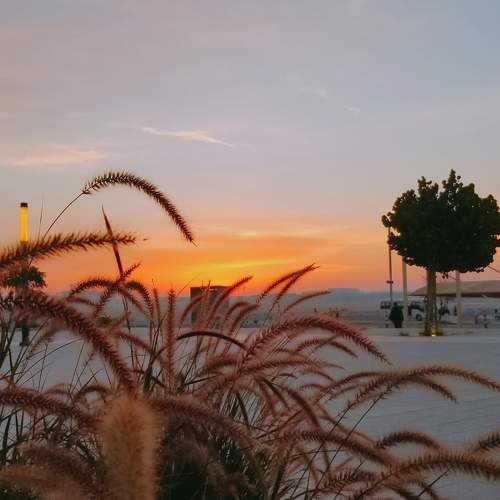 Morning sunset