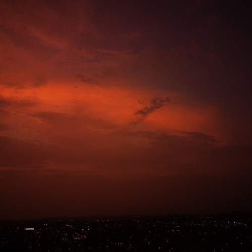 Photo #10111312
