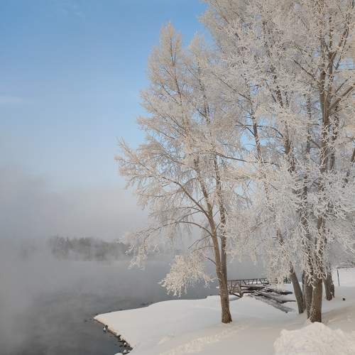 Photo #10111400
