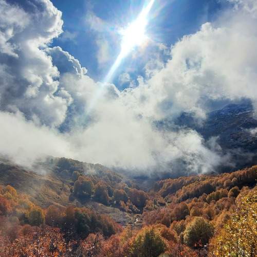 Photo #10111517