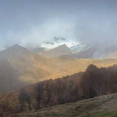 Photo #10111522