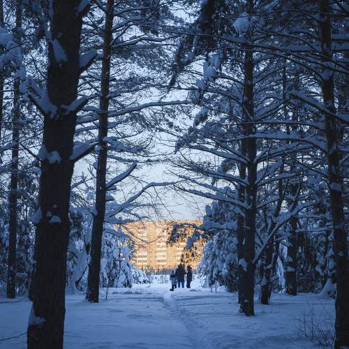 Photo #10111707