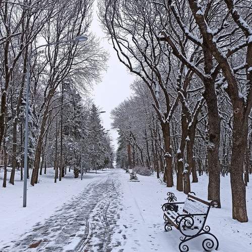 Photo #10111897