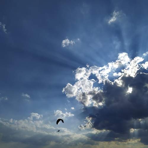 Photo #10112024