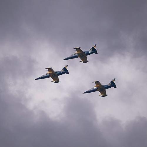 Photo #10112239