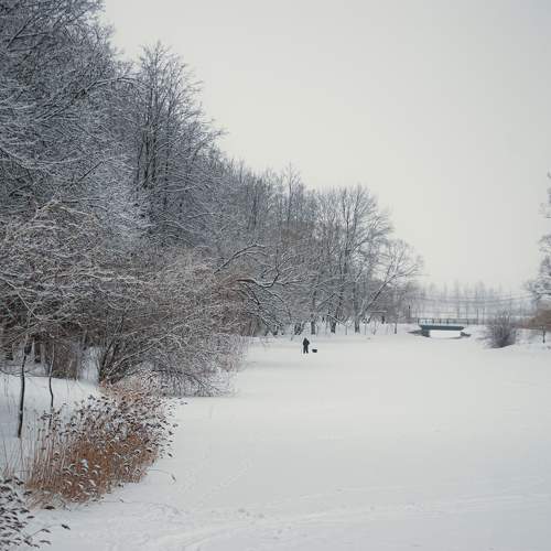 Photo #10112315