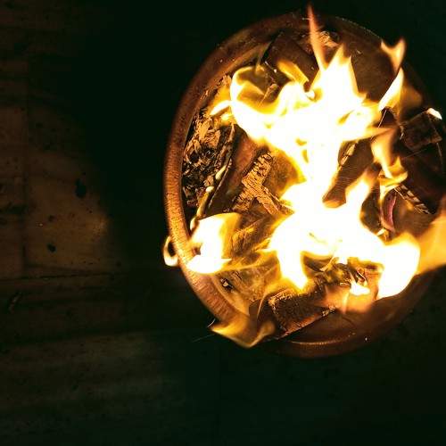 Photo #10112550