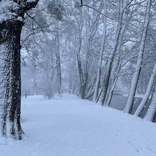 Photo #10112772