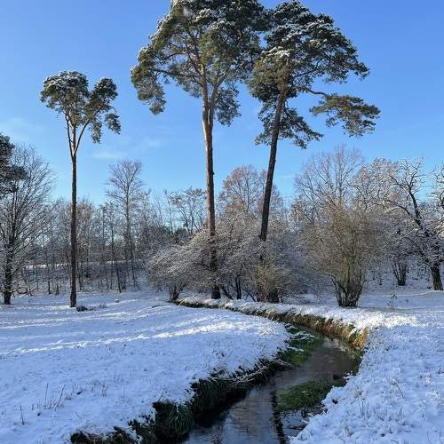 Photo #10112775