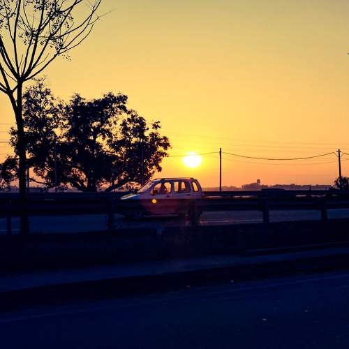 Photo #10112796