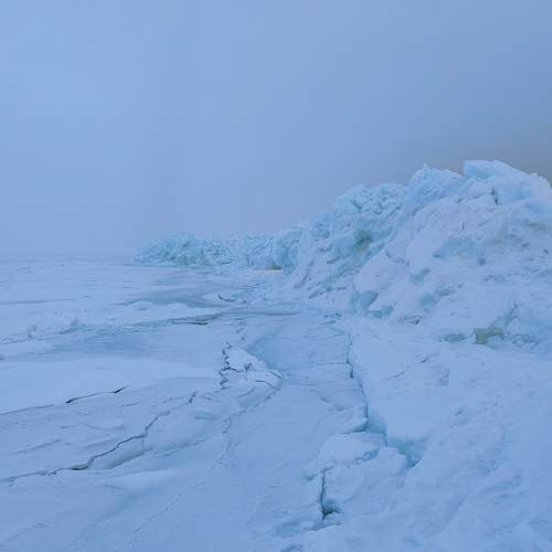 Photo #10112805