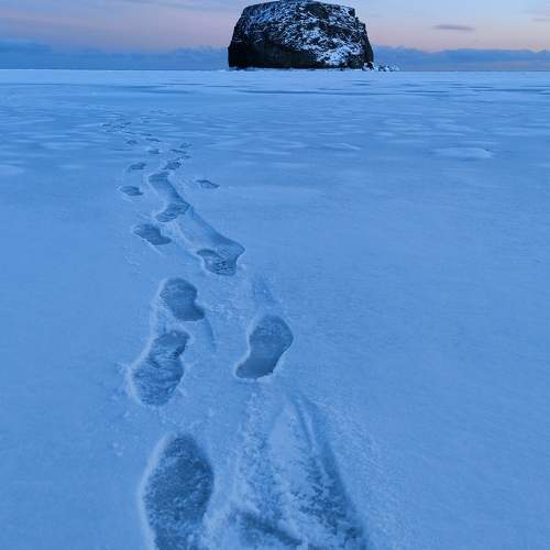 Photo #10112806